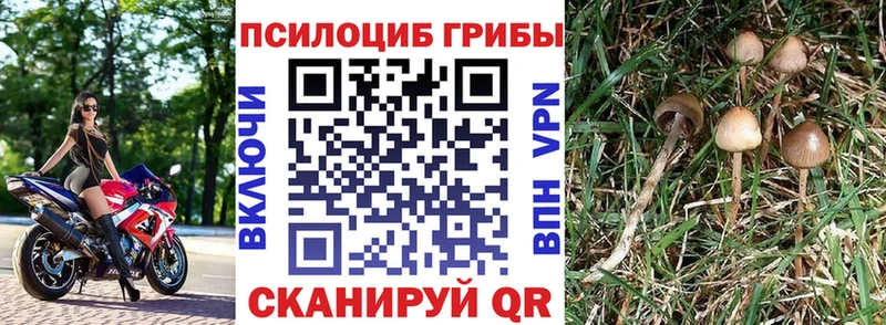 ОМГ ОМГ ссылка  Красноармейск  Галлюциногенные грибы прущие грибы  купить  